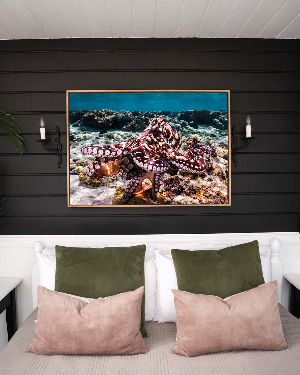 Hold On – Octopus, Underwater Photography by David Lloyd, framed canvas print in oak float frame, styled in a bedroom setting