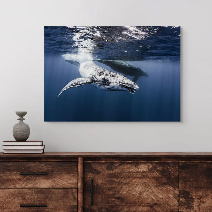 I Give It All For You – Underwater view of a humpback whale calf swimming gracefully in deep blue water | Stretched Canvas Print