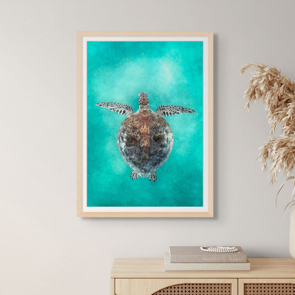 Island Vibration – Green sea turtle swimming underwater on the Great Barrier Reef | Framed Paper Print by David Lloyd