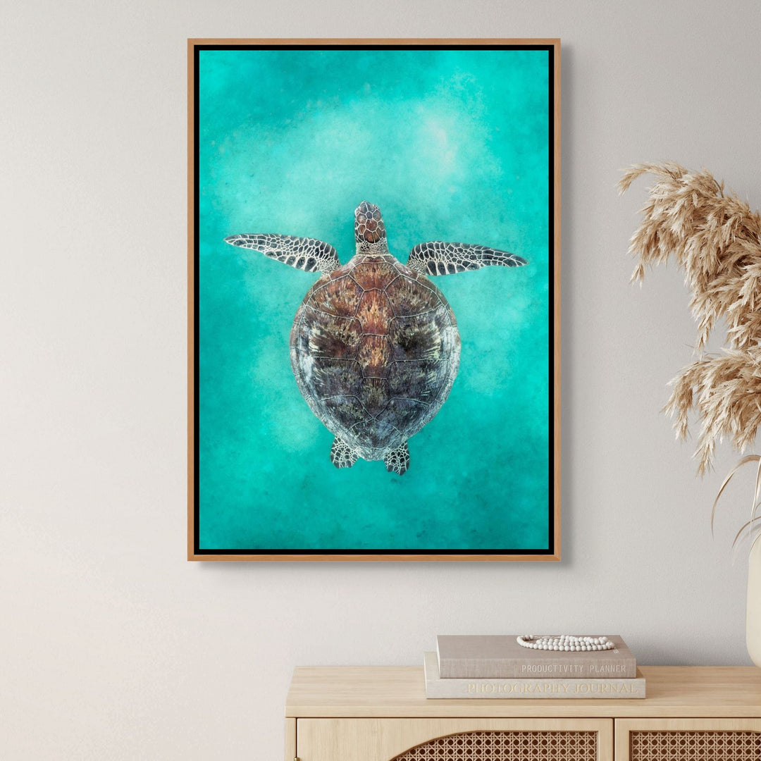Island Vibration – Green sea turtle swimming underwater on the Great Barrier Reef | Shadow Box Canvas Print by David Lloyd