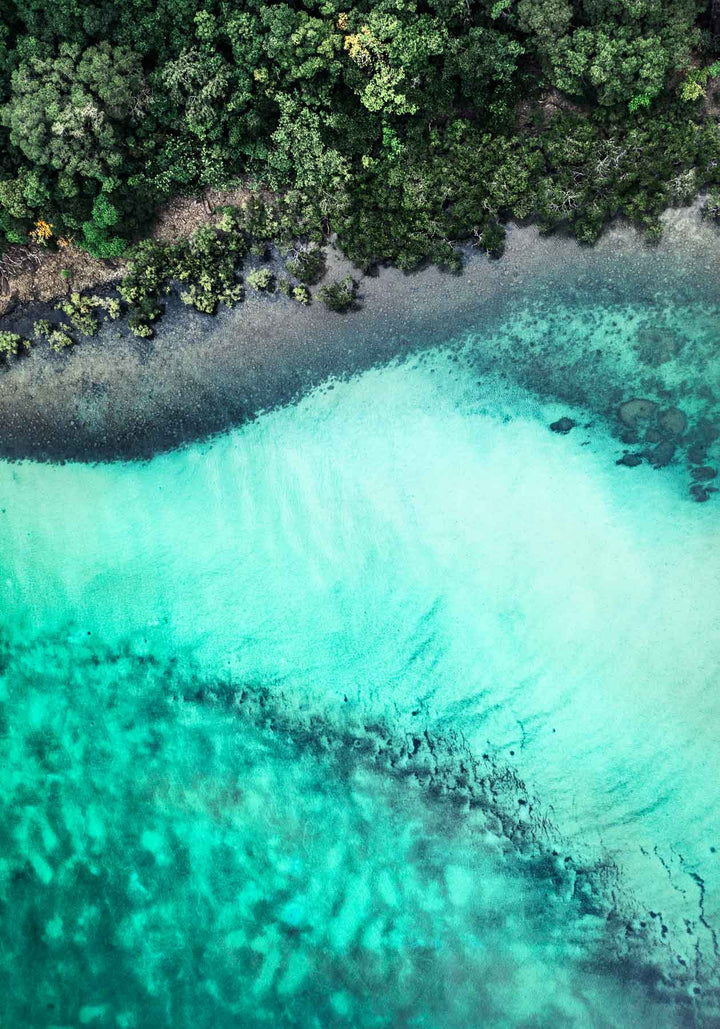 It’s Only Natural – Aerial view of Cape Tribulation with rainforest flowing into reef patterns | Unframed Rolled Print by David Lloyd