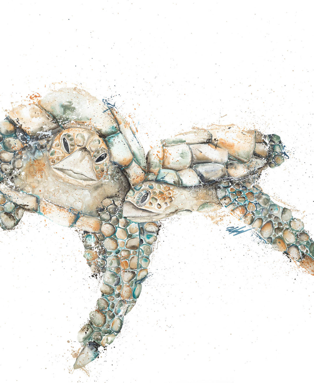 Joined at the Hip – Close-up detail of two turtles artwork on poly-cotton canvas or paper, soft ocean background | Unframed Rolled Print