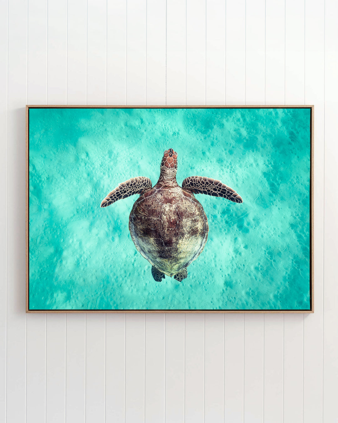 Just Breathe - Green Sea Turtle | Underwater Photography