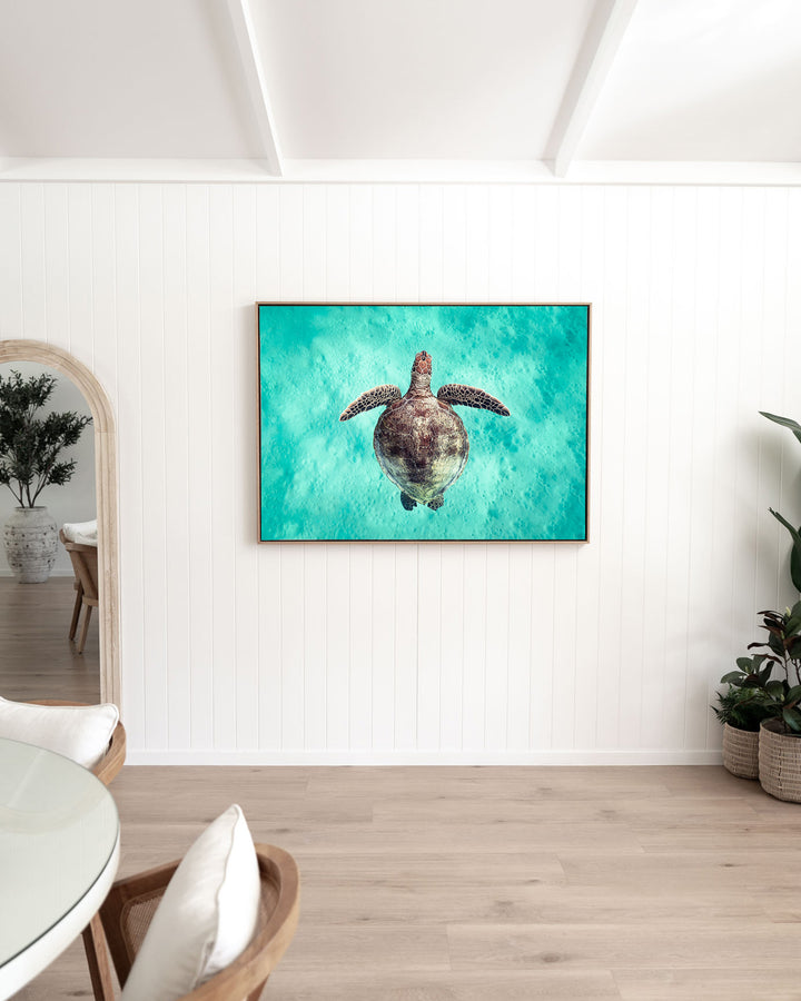 Just Breathe – Green Sea Turtle, Underwater Photography by David Lloyd, framed canvas print in oak float frame, styled in a dining room setting