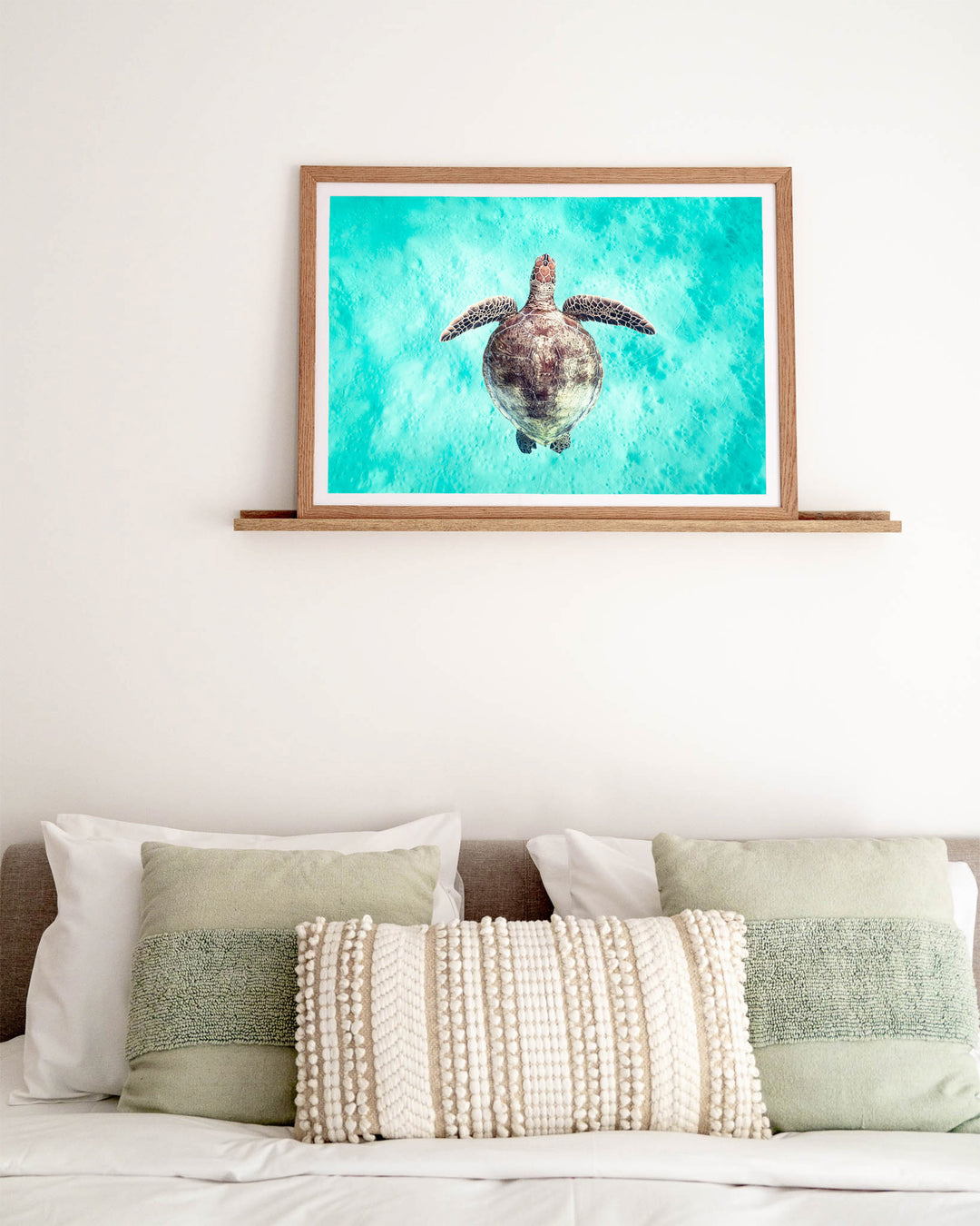 Just Breathe – Green Sea Turtle, Underwater Photography by David Lloyd, framed paper print in oak frame, styled in a bedroom setting