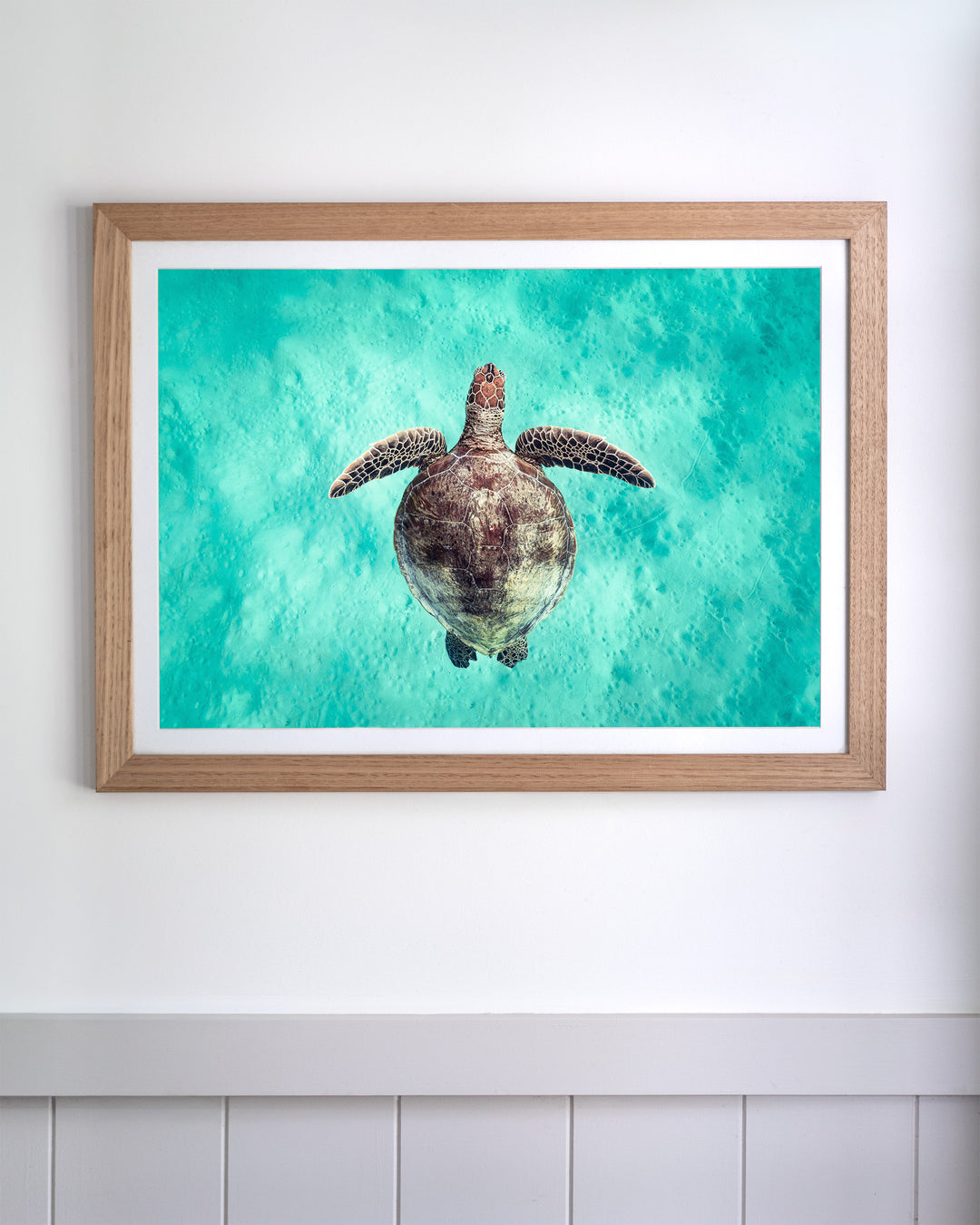 Just Breathe - Green Sea Turtle | Underwater Photography