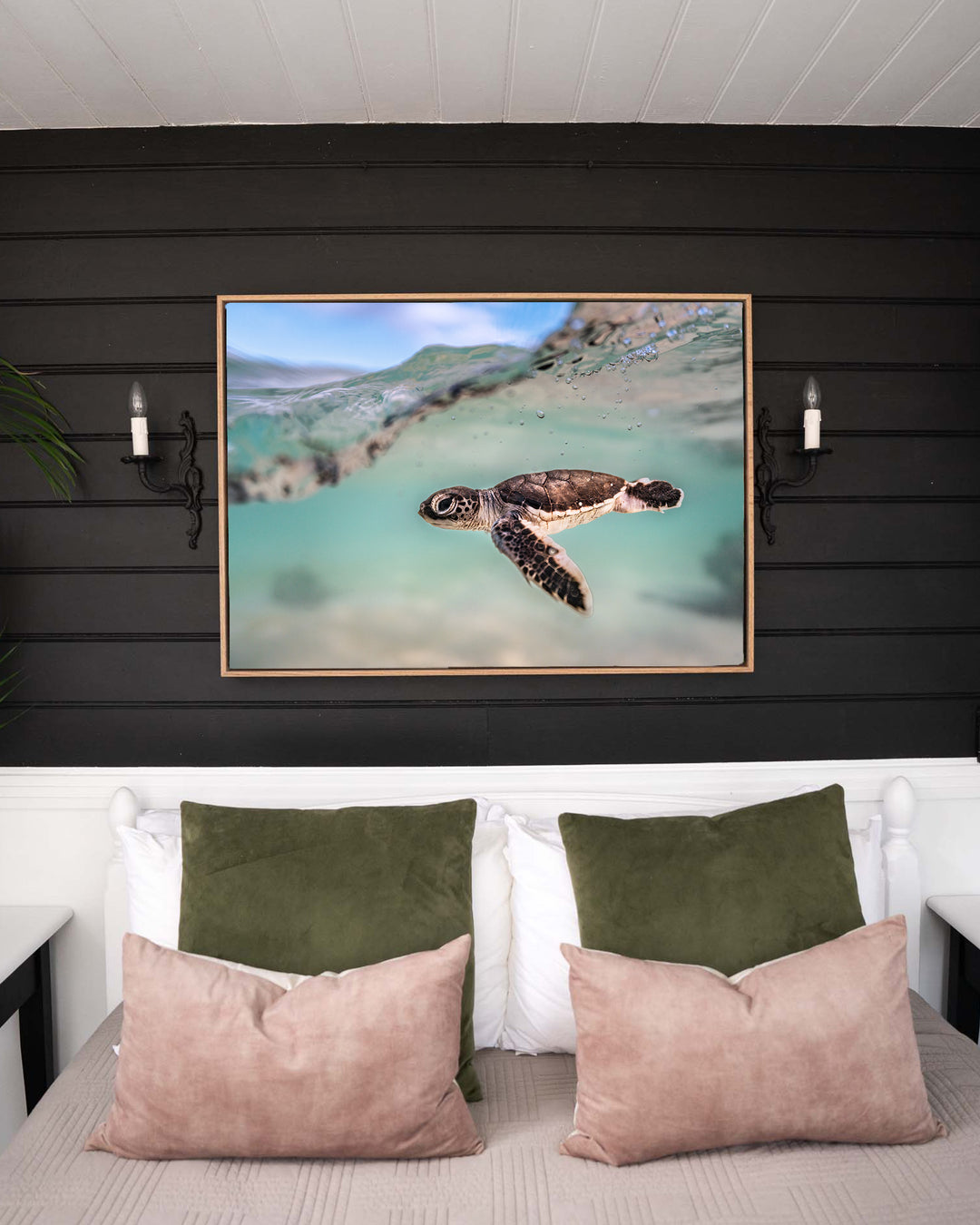 Just Keep Swimming – Turtle Hatchling, Underwater Photography by David Lloyd, framed canvas print in oak float frame, styled in a bedroom setting