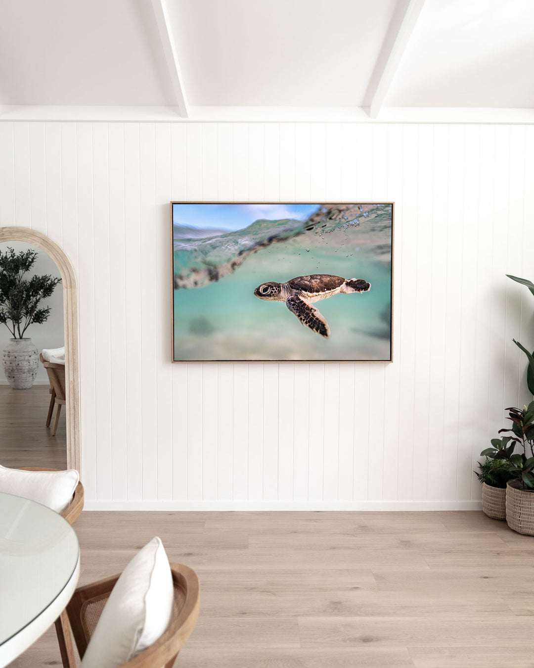 Just Keep Swimming – Turtle Hatchling, Underwater Photography by David Lloyd, framed canvas print in oak float frame, styled in a dining room setting