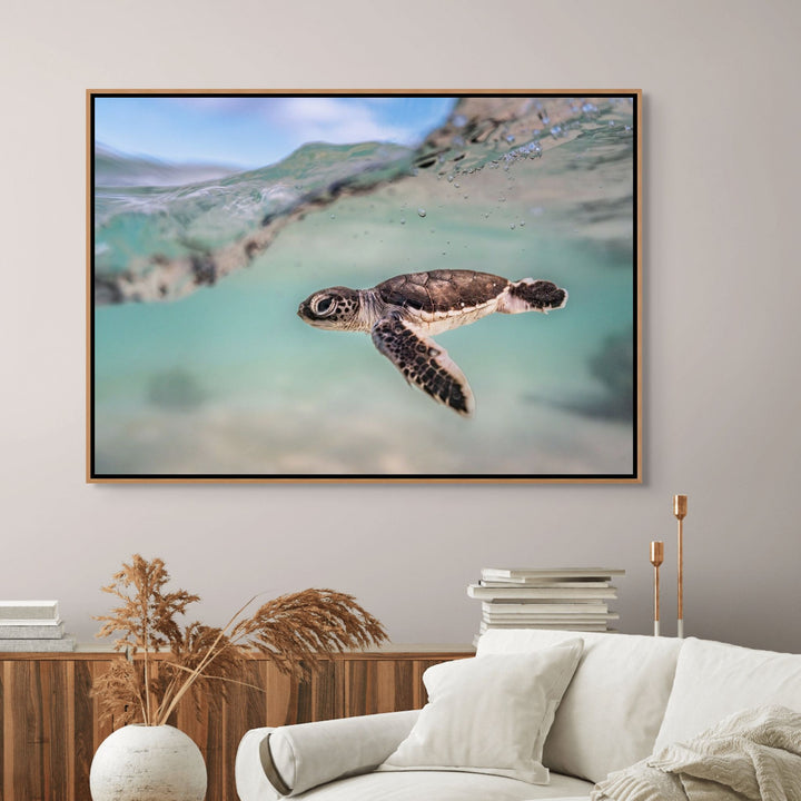 Just Keep Swimming – Turtle hatchling underwater with soft blue and teal water, split shot showing the open sky | Shadow Box Canvas Print