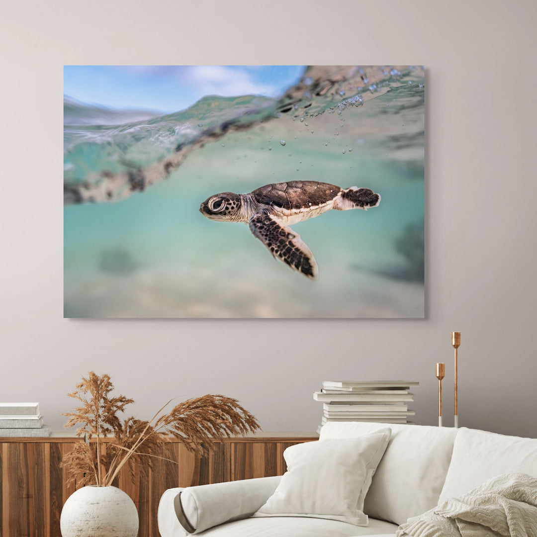 Just Keep Swimming – Turtle hatchling underwater with soft blue and teal water, split shot showing the open sky | Stretched Canvas Print