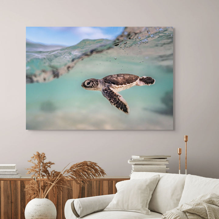 Just Keep Swimming – Turtle hatchling underwater with soft blue and teal water, split shot showing the open sky | Stretched Canvas Print