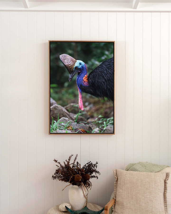 Kevin – Southern Cassowary, Bird Photography by David Lloyd, framed canvas print in oak float frame, styled in a bedroom setting
