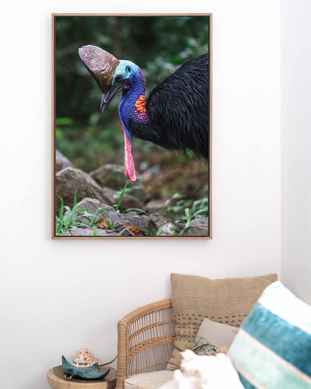 Kevin – Southern Cassowary, Bird Photography by David Lloyd, framed canvas print in oak float frame, styled in a coastal lounge setting