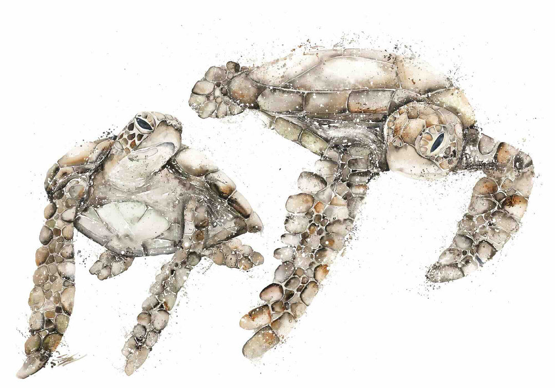 Life By Your Side by Stephanie Elizabeth – unframed rolled paper print of sea turtles in warm brown tones, coastal fine art artwork