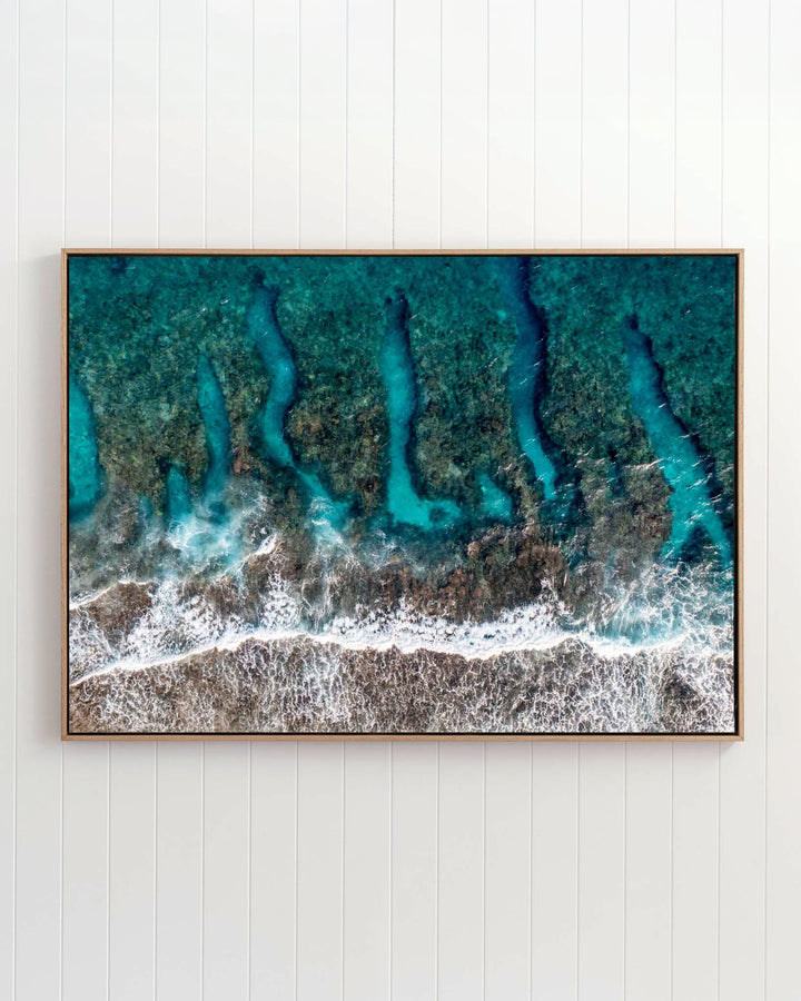 Life On The Edge | Lady Elliot Island - Aerial Photography