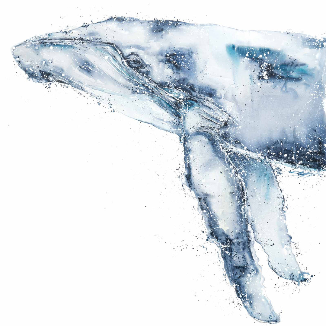 Locking Eyes by Stephanie Elizabeth – unframed rolled paper print, portrait orientation humpback whale portrait, fine art marine life print