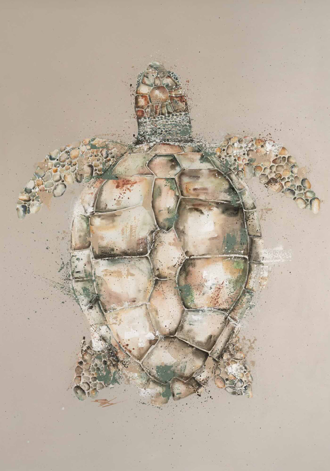 Loggerhead by Stephanie Elizabeth – unframed rolled paper print of top-down view of beige turtle, fine art marine life print