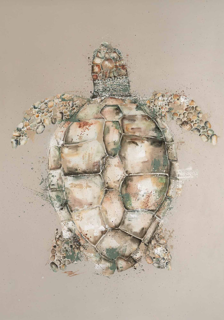Loggerhead by Stephanie Elizabeth – unframed rolled paper print of top-down view of beige turtle, fine art marine life print