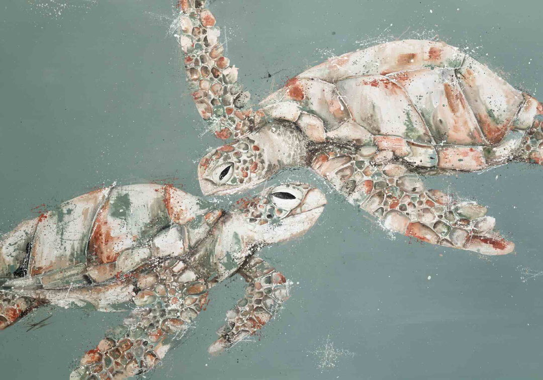 Look At Us Now by Stephanie Elizabeth – unframed rolled paper print of two turtles in water, fine art marine life print