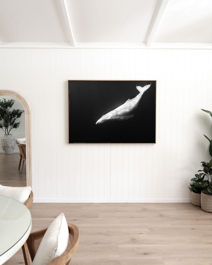 Mahina – Albino Humpback Whale, Underwater Photography by David Lloyd, framed canvas print in oak float frame, styled in a dining room setting