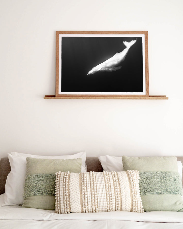 Mahina – Albino Humpback Whale, Underwater Photography by David Lloyd, framed paper print in oak frame, styled in a bedroom setting