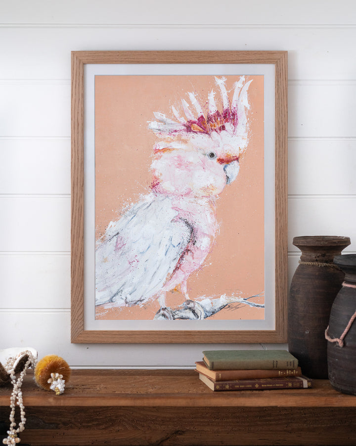 Major Milestone – Major Mitchell cockatoo, framed paper print in oak frame, styled on a timber shelf
