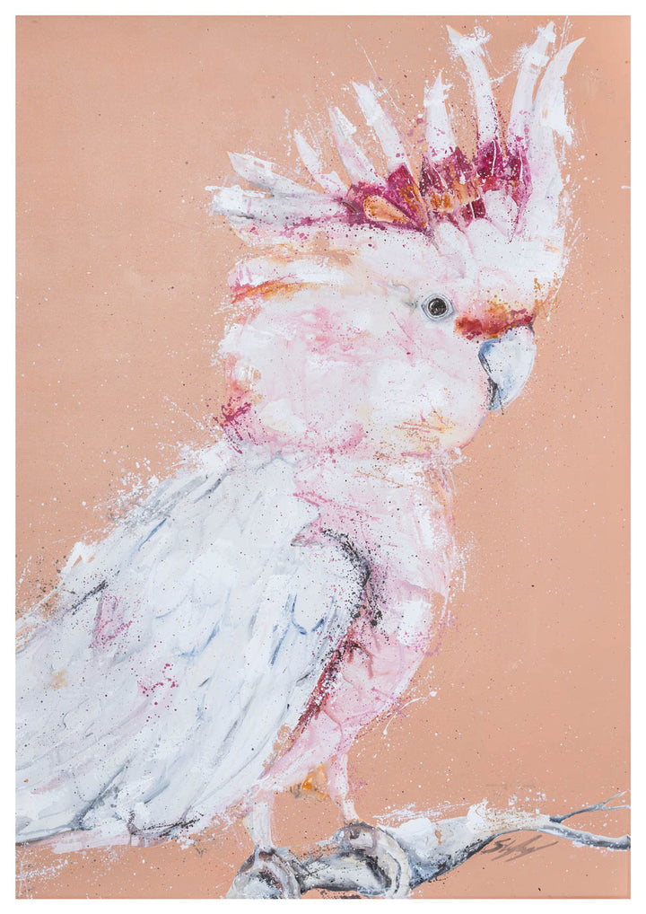Major Milestone by Stephanie Elizabeth – unframed rolled paper print of a Major Mitchel - Pink Galah with an orange background