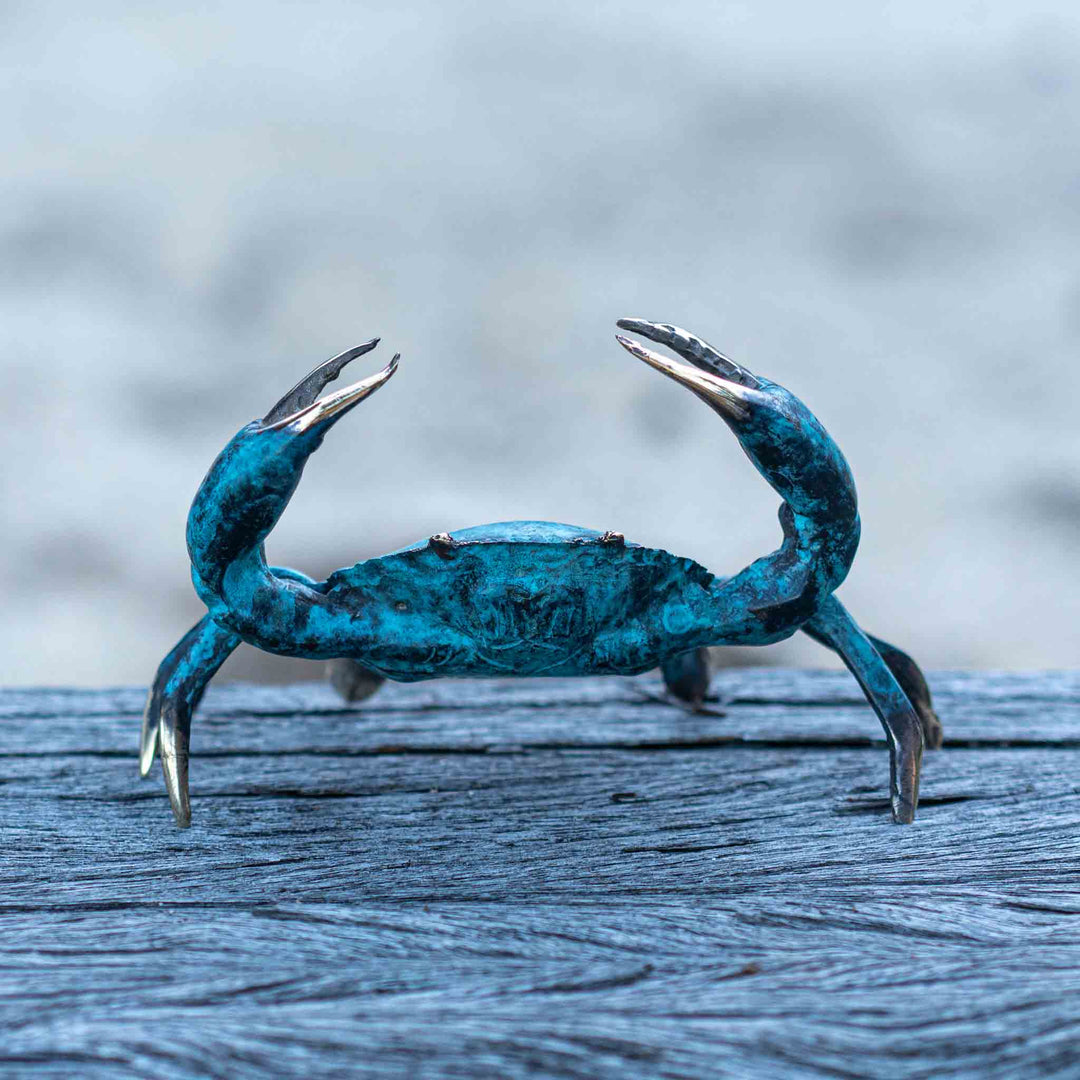 Medium Crab | Aged Brass