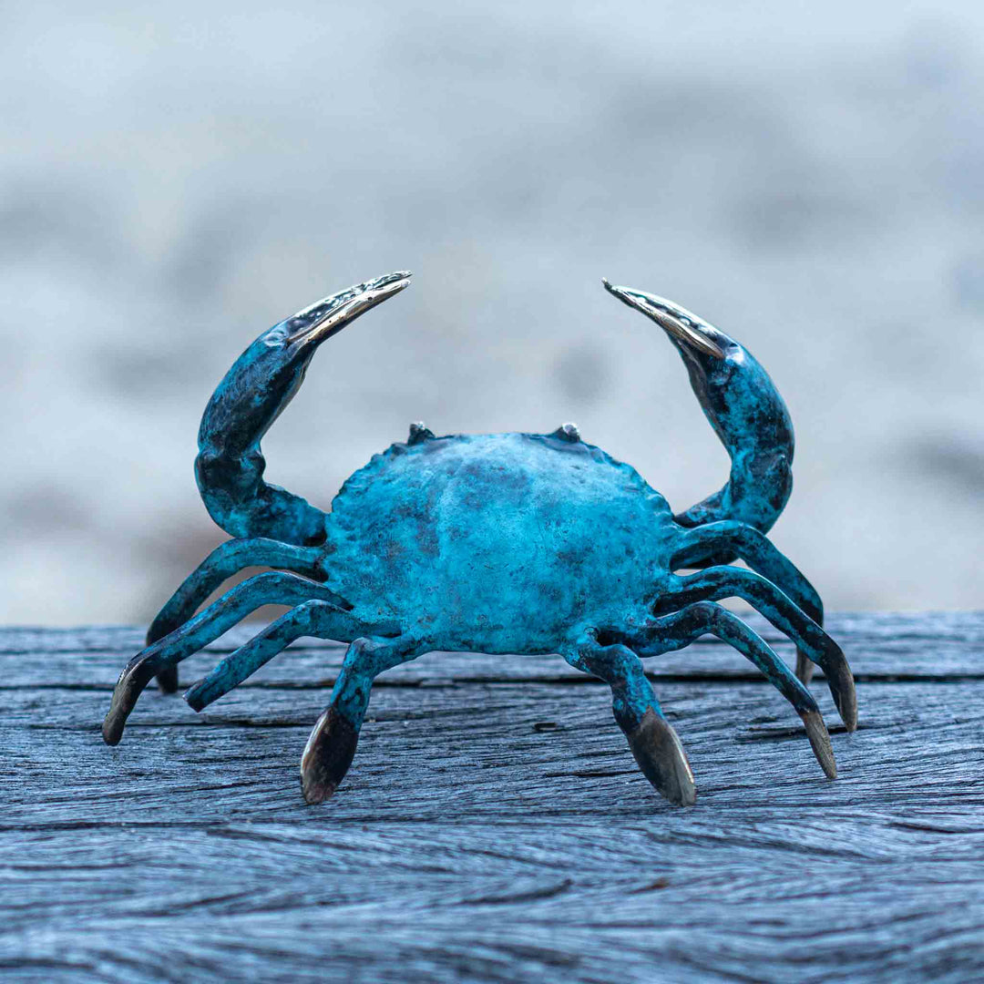 Medium Crab | Aged Brass