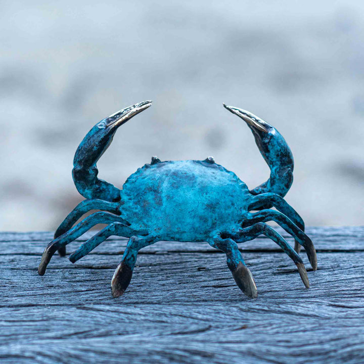 Medium Crab | Aged Brass