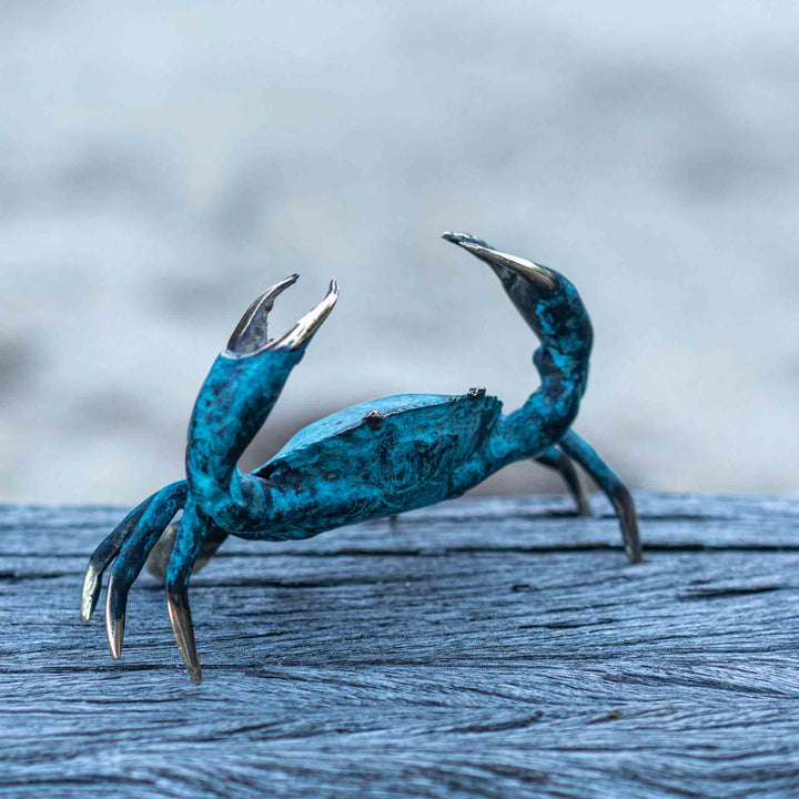 Medium Crab | Aged Brass