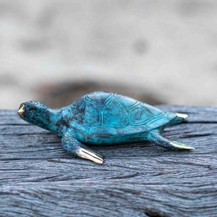 Medium Turtle | Aged Brass