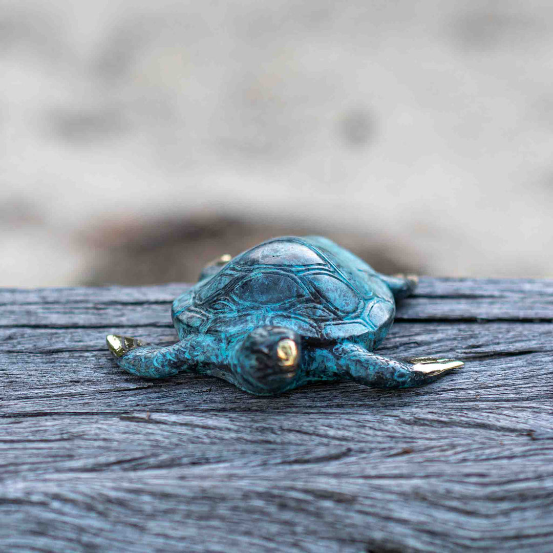 Medium Turtle | Aged Brass