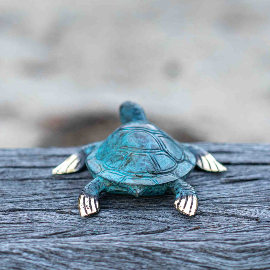 Medium Turtle | Aged Brass