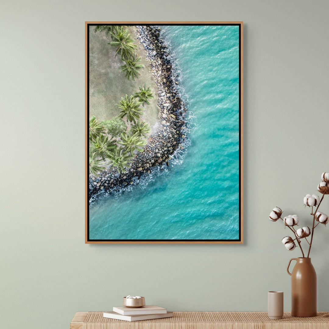 Meet Me Under The Palms – Aerial view of palm trees lining Four Mile Beach in Port Douglas, with turquoise ocean and soft waves | Shadow Box Canvas Print