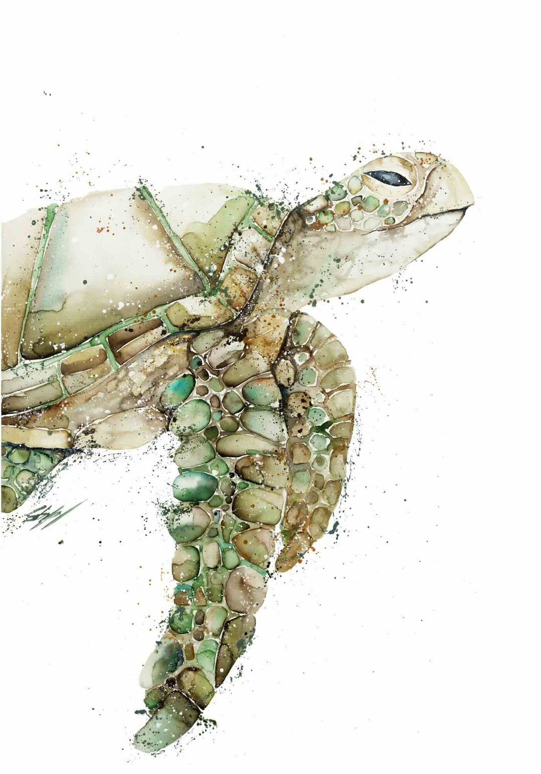 Moss by Stephanie Elizabeth – unframed rolled paper print of green turtle, fine art marine life print