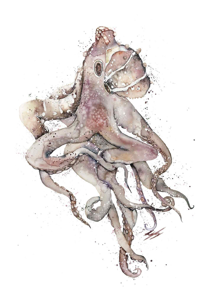 My Octopus Teacher by Stephanie Elizabeth – unframed rolled paper print of octopus in natural habitat, fine art marine print