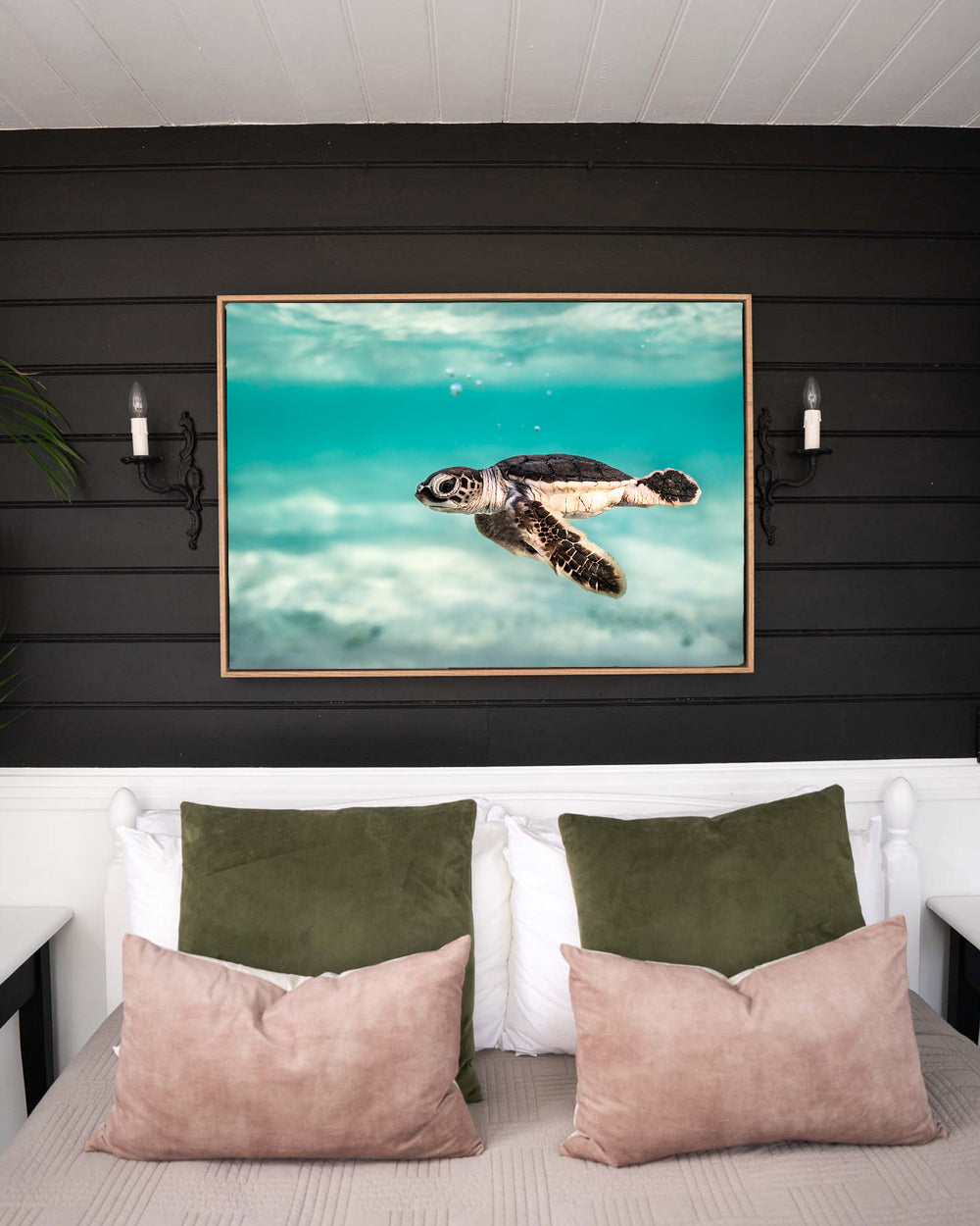 Ocean Lullaby – Turtle Hatchling, Underwater Photography by David Lloyd, framed canvas print in oak float frame, styled in a bedroom setting