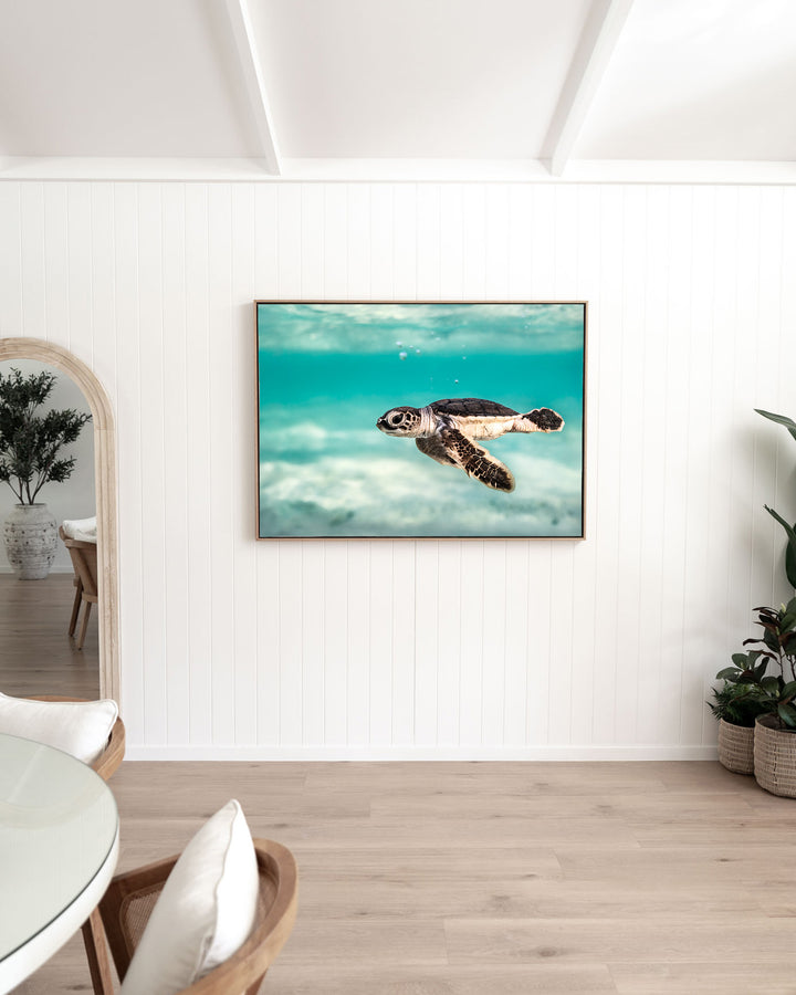 Ocean Lullaby – Turtle Hatchling, Underwater Photography by David Lloyd, framed canvas print in oak float frame, styled in a dining room setting