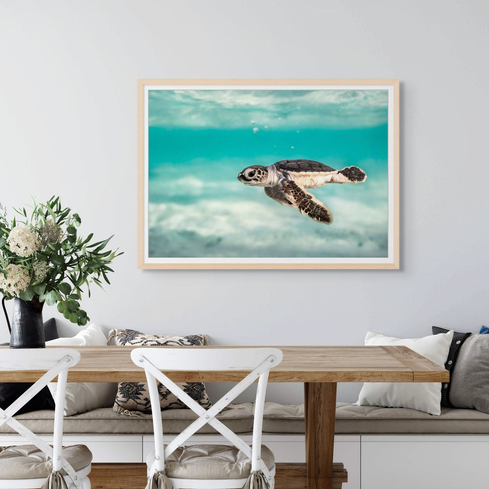 Ocean Lullaby – close-up underwater photograph of turtle hatchling surrounded by bubbles and textured moving water | Framed Paper Print
