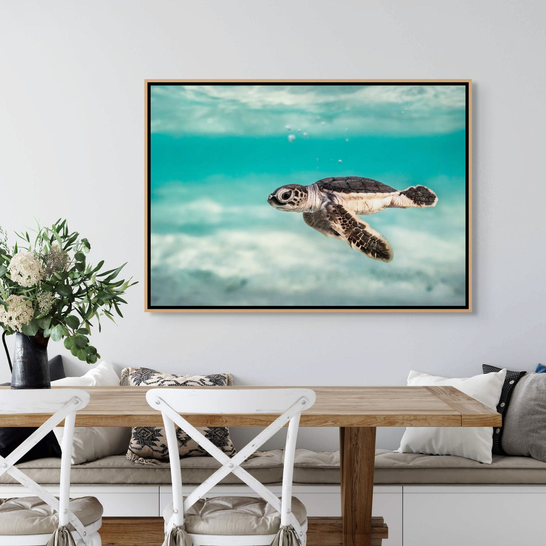 Ocean Lullaby – close-up underwater photograph of turtle hatchling surrounded by bubbles and textured moving water | Shadow Box Canvas Print
