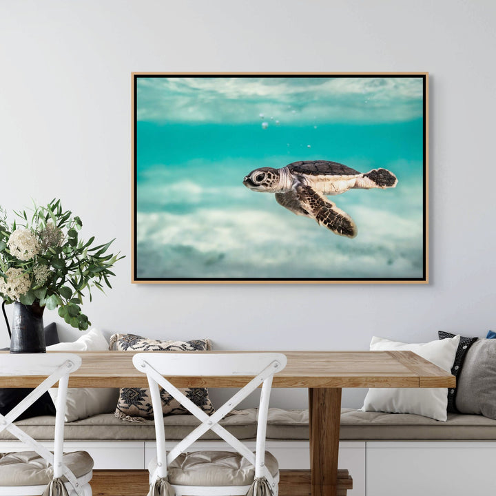 Ocean Lullaby – close-up underwater photograph of turtle hatchling surrounded by bubbles and textured moving water | Shadow Box Canvas Print
