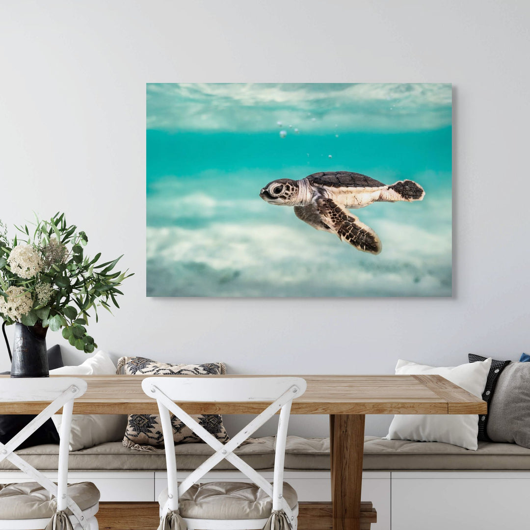 Ocean Lullaby – close-up underwater photograph of turtle hatchling surrounded by bubbles and textured moving water | Stretched Canvas Print
