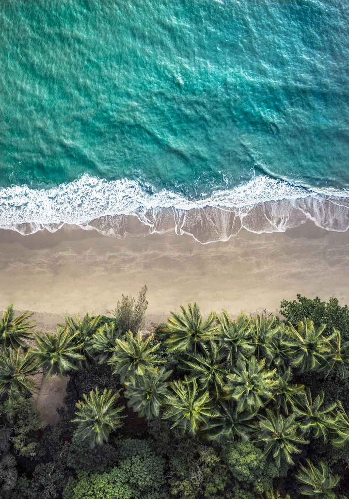 On the Nature of Daylight – Top-down aerial view of Four Mile Beach, Port Douglas with teal and turquoise waters | Unframed Rolled Print by David Lloyd