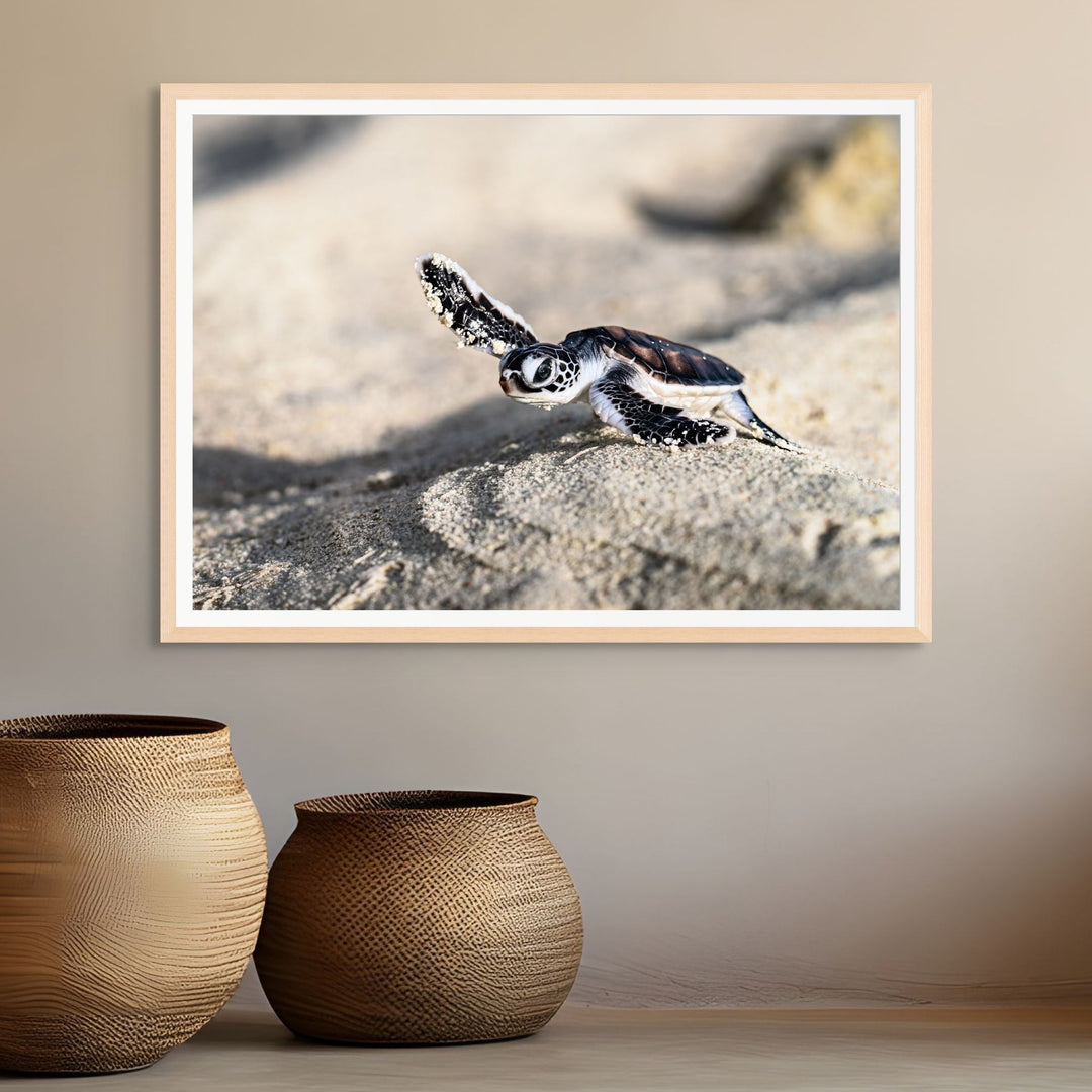 On the Sand by David Lloyd – baby turtle hatchling making its way to the ocean, fine art marine life photography print