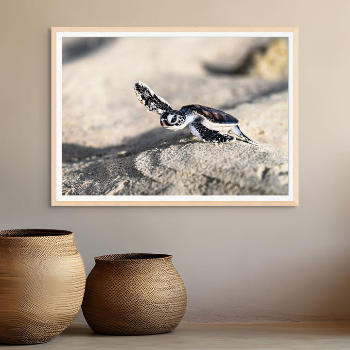 On the Sand by David Lloyd – baby turtle hatchling making its way to the ocean, fine art marine life photography print