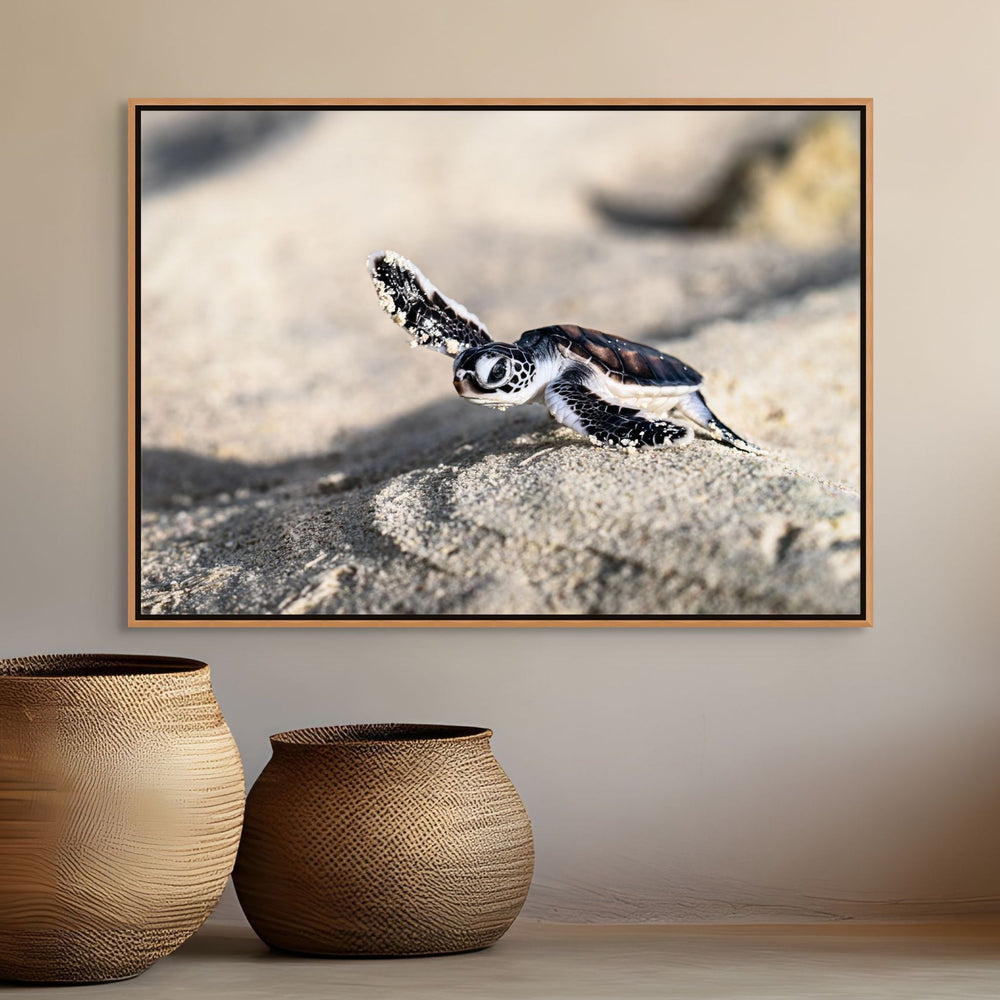 On the Sand by David Lloyd – baby turtle hatchling making its way to the ocean, fine art marine life photography print
