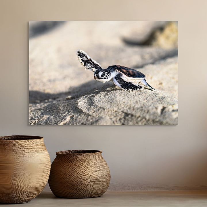 On the Sand by David Lloyd – baby turtle hatchling making its way to the ocean, fine art marine life photography print
