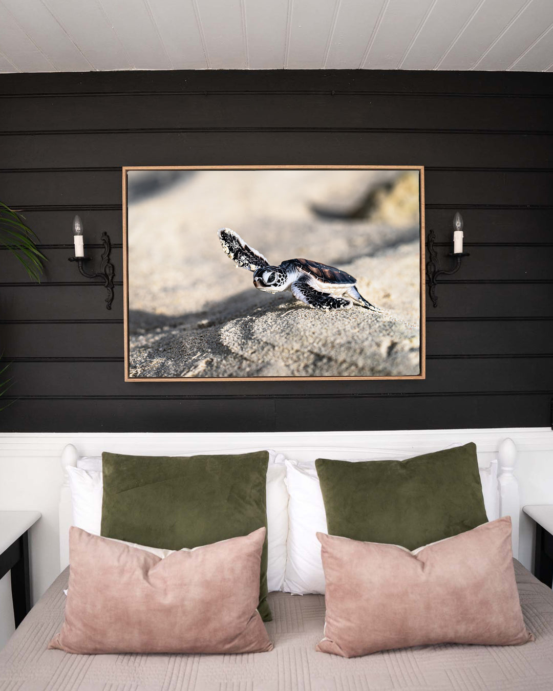 Over the Dunes – Turtle Hatchling, Ocean Photography by David Lloyd, framed canvas print in oak float frame, styled in a bedroom setting