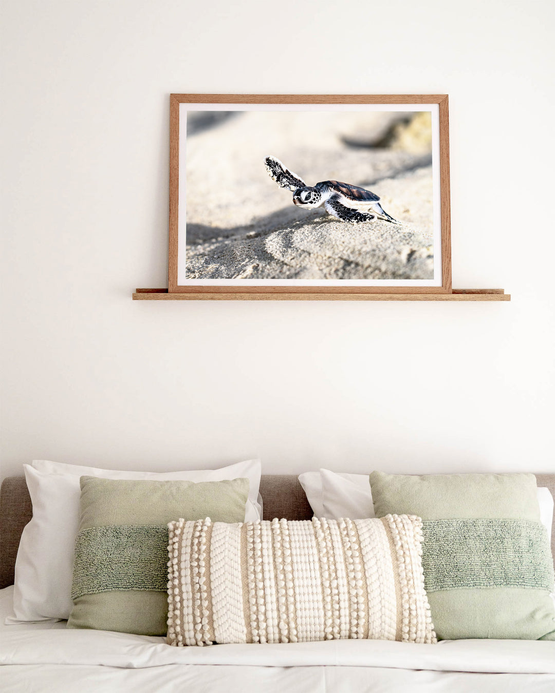 Over the Dunes – Turtle Hatchling, Ocean Photography by David Lloyd, framed paper print in oak frame, styled in a bedroom setting